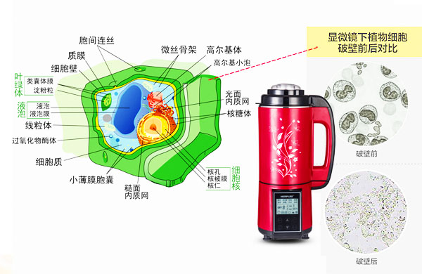 加热破壁料理机的破壁原理